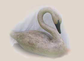 swan decoy