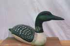 Loon Drake