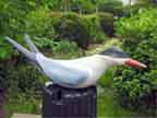 Common Tern