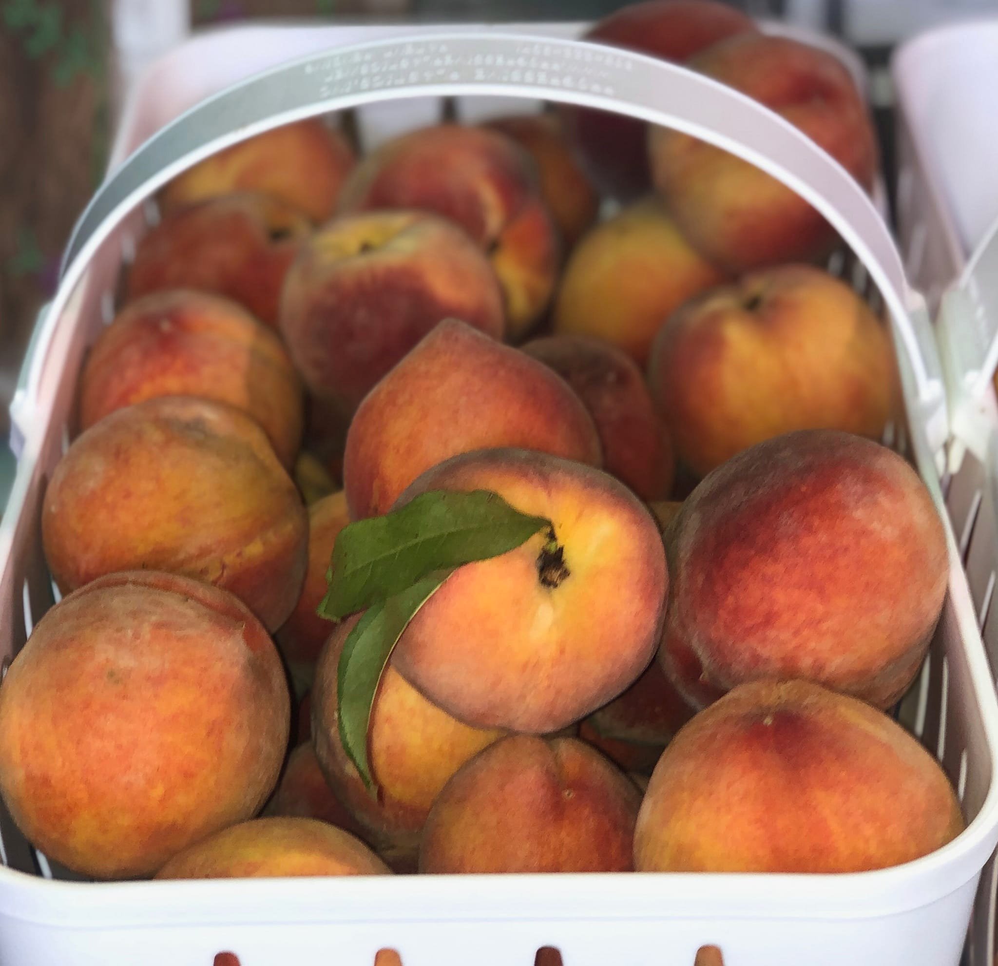 Church Street Produce Store Photo