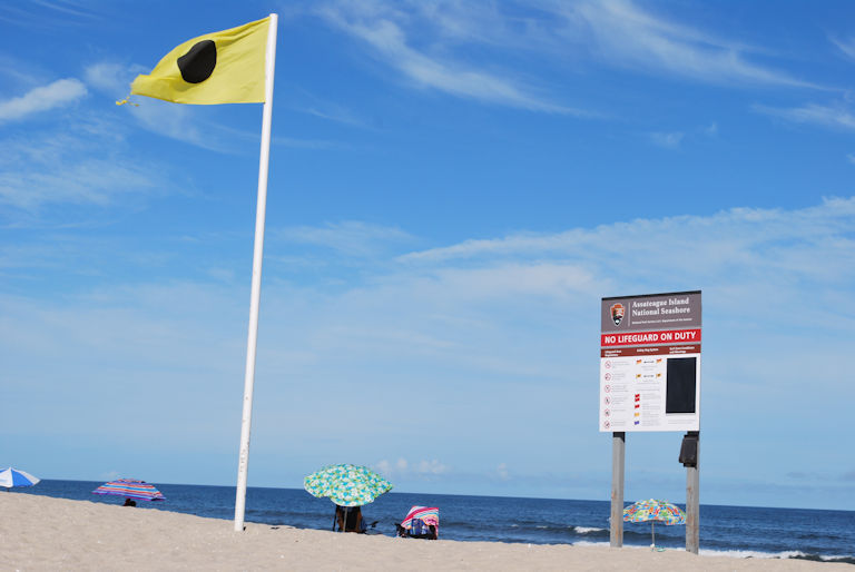 Assateague Beach