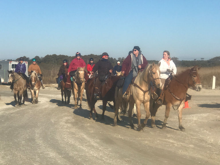 Horseback Riding