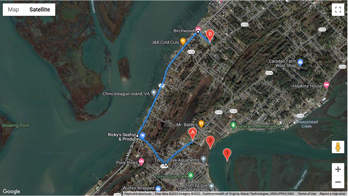 Chincoteague Pony Parade Route