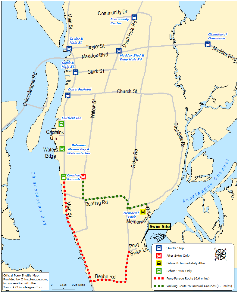 Chincoteague Pony Swim Shuttle