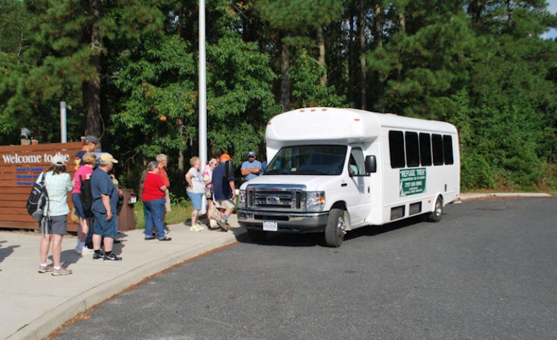 Chincoteague National Wildlife Refuge