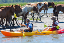 Assateague Explorer Kayak Tours & Rentals