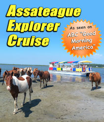 Assateague Explorer