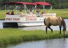 Captain Dans Around the Island Cruises