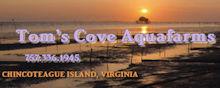 Toms Cove Aquafarms