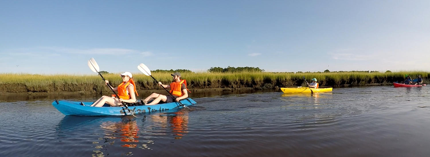 chincoteague page top pic