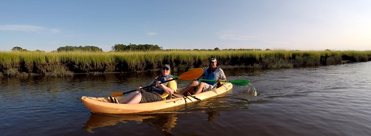 chincoteague page top pic