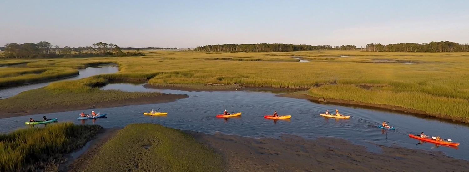 chincoteague page top pic