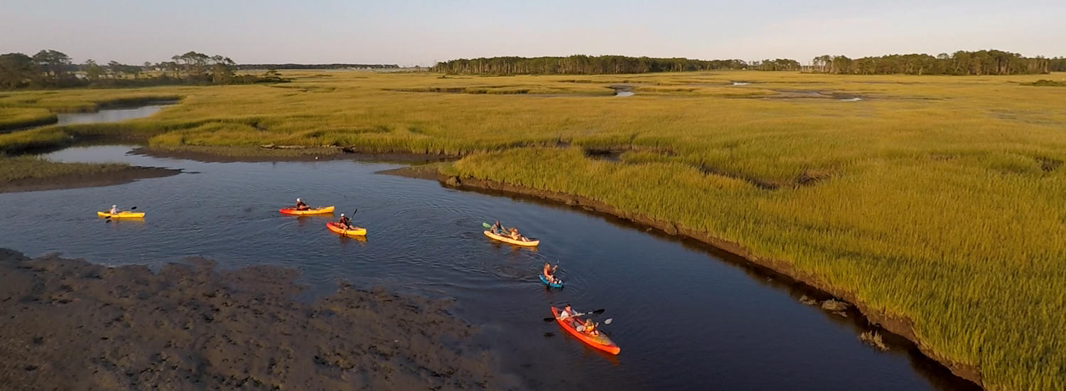 chincoteague page top pic