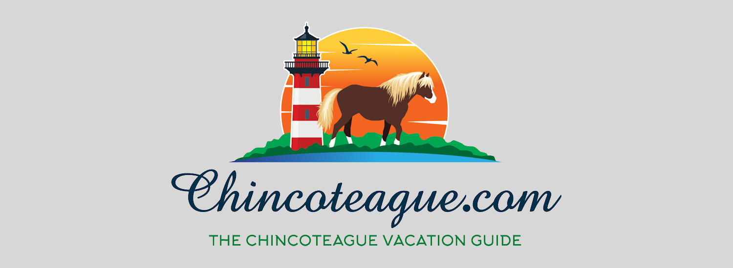 chincoteague page top pic