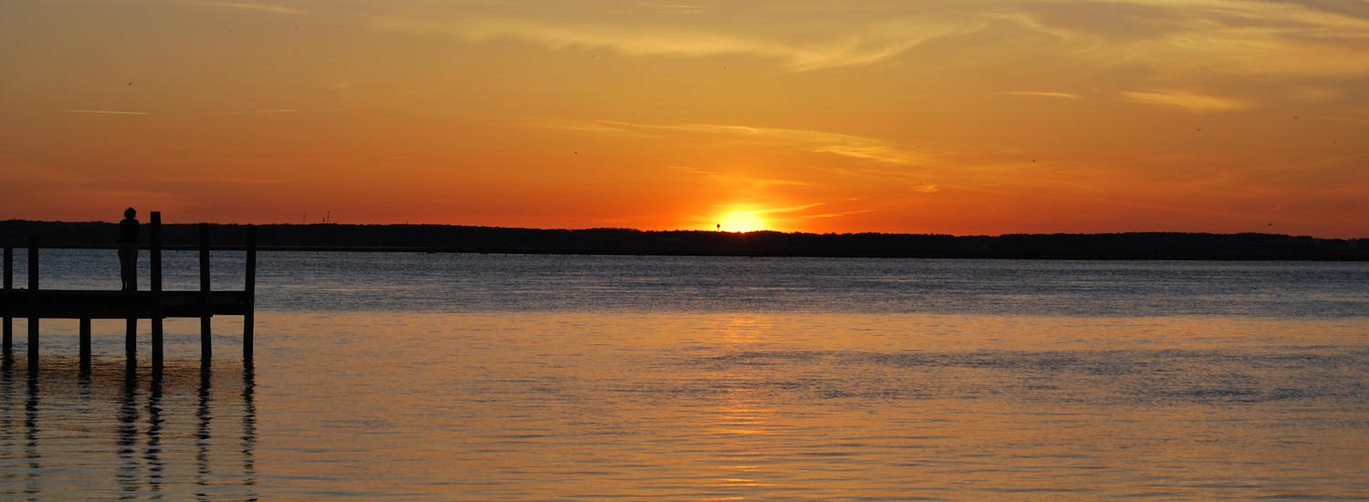 chincoteague page top pic