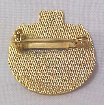 RN Registered Nurse Blue Cross Insignia Emblem Pin 963  