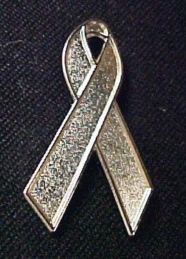 Schizophrenia Awareness Silver Support Ribbon Pin New  